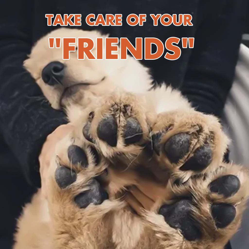 30g Pet Paw Balm Care Protection Cream Soother Natural Ingredients Dog-Cat Feet Lotion For Dog-Cat Puppy Kitten-Products