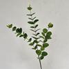 Artificial Eucalyptus Flowers 3-Branch Faux Greenery for Wedding Decor And Home Vase Arrangements Realistic 3D Printed Leaves Evergreen All Season