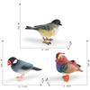 Realistic Decorative Animal Model Set Featuring Colorful Duck Sparrow Finch And Tit For Home And Office Display