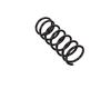 Ft12210 Fast Spring Suspension Rear