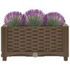 Raised Garden Bed 40 X 40 X 23 Cm Polypropylene