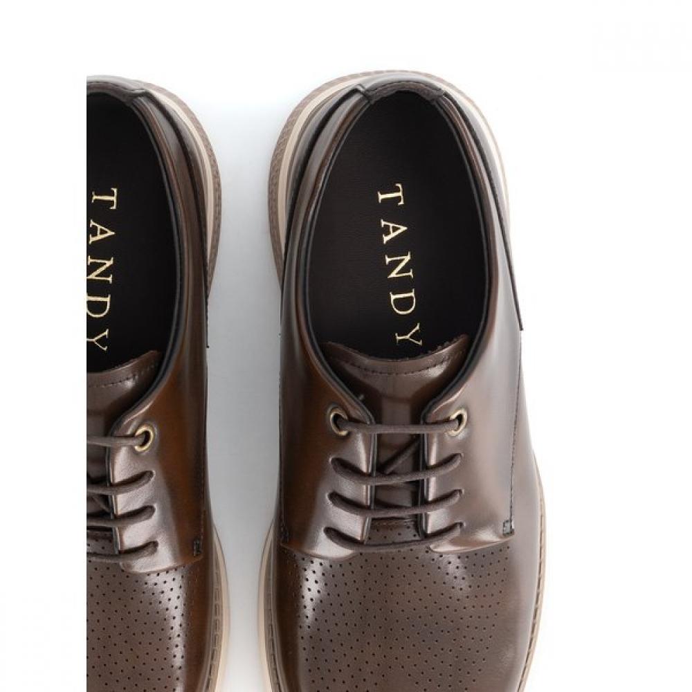 Tandy Men S caSual SneakerS Brown  Q26024 Brown 