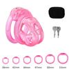 With 5 Size Cock Rings Penis Soft Silicone Chastity Cage Device Anti-Cheating Penis Lock Restraints for Men Discreet Sex Toy 18+