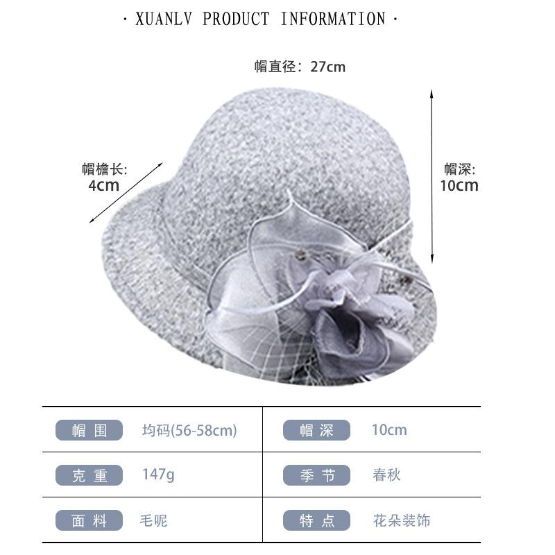 Autumn and winter new feather flower woolen top hat women's British retro casual bucket hat fashion mesh small brim basin hat