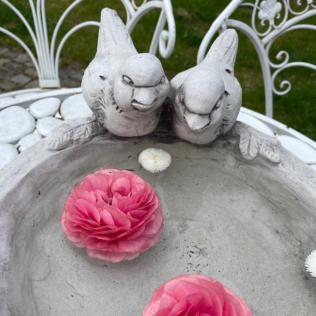 Beton-Vogelbad für den Garten