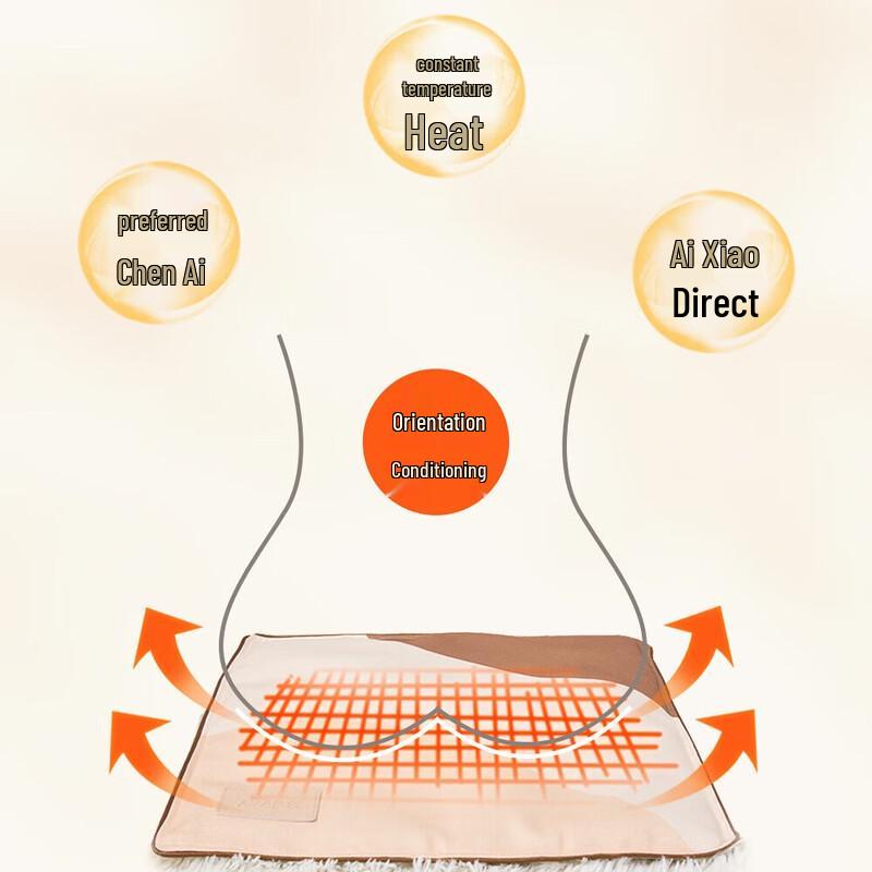 Ai Xiu Tang C1 Wormwood Wellness Cushion