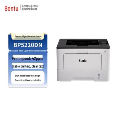 Pantum BP5220DN A4 Monochrome Laser Printer CN Plug (adapter Included)