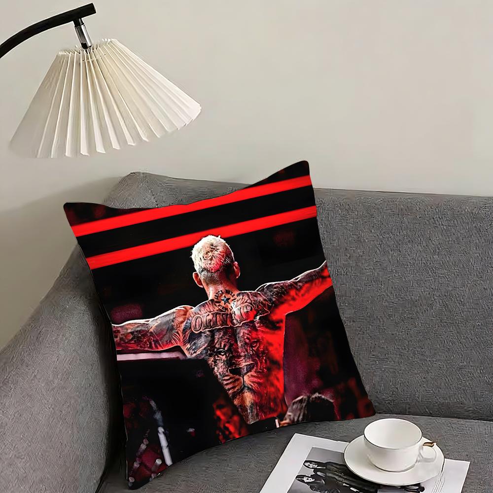 

CCharles OliveiraA Boxer Cushion Cover Pillowcase Ultra Soft Skin Friendly Fabric Cloud Like Comfort Concealed Zipper 30x30cm