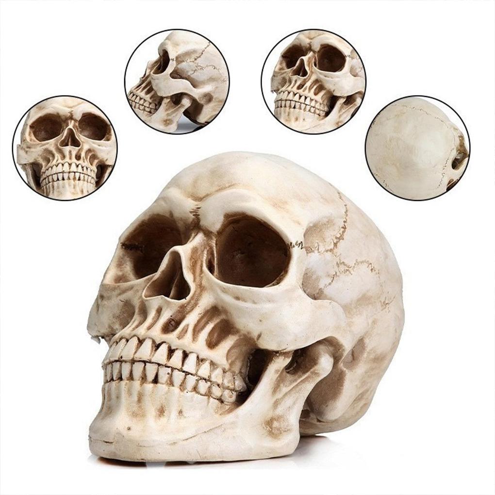 2025 Dödskalle Staty Skulptur Halloween Dekoration Harts Dödskalle Skelett Hantverk för Målning Medicinska Rekvisita Bar Disk Heminredning