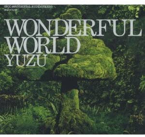 CD YUZU WONDERFUL WORLD SNCC86917 2008 Japan Japanese PopRock Used