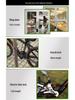 Y787 Keyless Combination Alarm Lock: Steel Wire, Anti-Disassembly, Rainproof, Anti-Theft, Electronic Lock for Bicycles and Motorcycles.