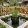 Heavy Type Meshes Plant Baskets with Stable Handle Water Garden Planting Bags for Pond and Water Gardens