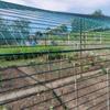 Filet anti-grêle - tenax - defender - 4,00x50 m - vert - polyéthylène