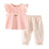 YouQi Toddler Girls' Summer T-Shirt & Pants Set