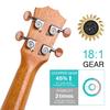 21 Inch Acoustic Soprano Ukulele Kit Mahogany Plywood Ukelele with Gig Bag Uke Strap Spare Strings