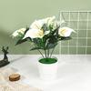 Zantedeschia Aethiopica Simulates Potted Plant Artificial Flower Decoration