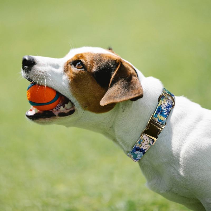 Blumen-Metallgravur Individuelles Haustierhalsband Leine für mittelgroße große Hunde Katzen