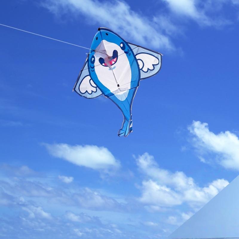 1Pcs Shark Bee Penguin Cartoon Children'S Novice Beginner Kites Flying Outdoor Toys For Kids Animals Nylon Fabric Kite