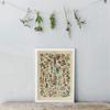 Vintage Adolphe Millot Encyclopedia Posters Butterfly Mushrooms Herbs Flowers Insect Classic Canvas Paintings Wall Stickers