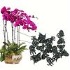 100pcs Plastic Garden Plant Clips, Dark Green & Coffee Brown Support Clips for Orchids,Safe Upright Plant Growth Gardening Tools