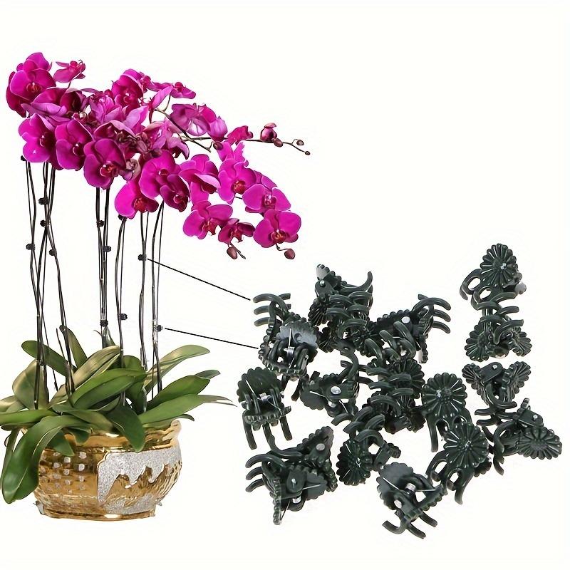 100pcs Plastic Garden Plant Clips, Dark Green & Coffee Brown Support Clips for Orchids,Safe Upright Plant Growth Gardening Tools