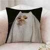 Fun Kwaii Cat Anime Pillow Case Pillowcase Doublesided Printed Sofa Cushion Bedroom Headboard Pillow