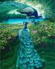 5D DIY Diamond Embroidery Full Set Cross Stitch Peacock Full Square Round Diamond Painting Animal Picture Of Rhinestone Decor For Home