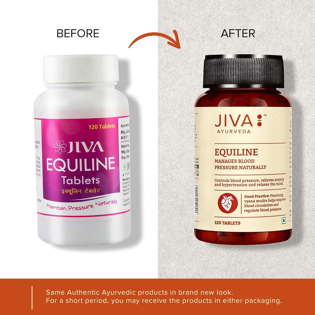 Jiva Equiline Tablets 500mg | Ayurvedic Herbal Supplement for Mind Clarity & Energy Support | 120 Tablets  X Pack of 2