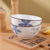 Hegawaya Japanese Ceramic Noodle & Rice Bowl Set