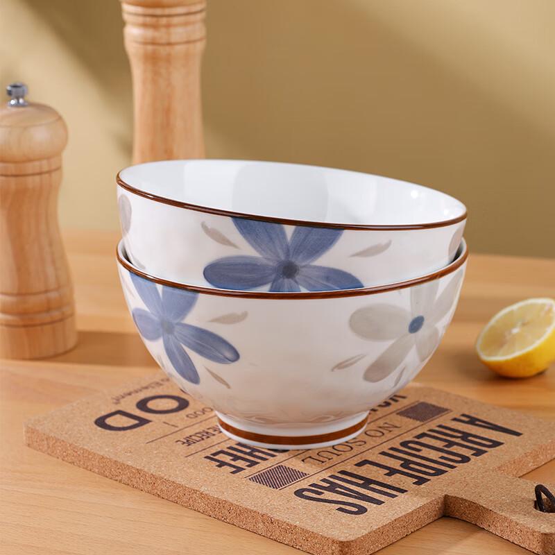 Hegawaya Japanese Ceramic Noodle & Rice Bowl Set