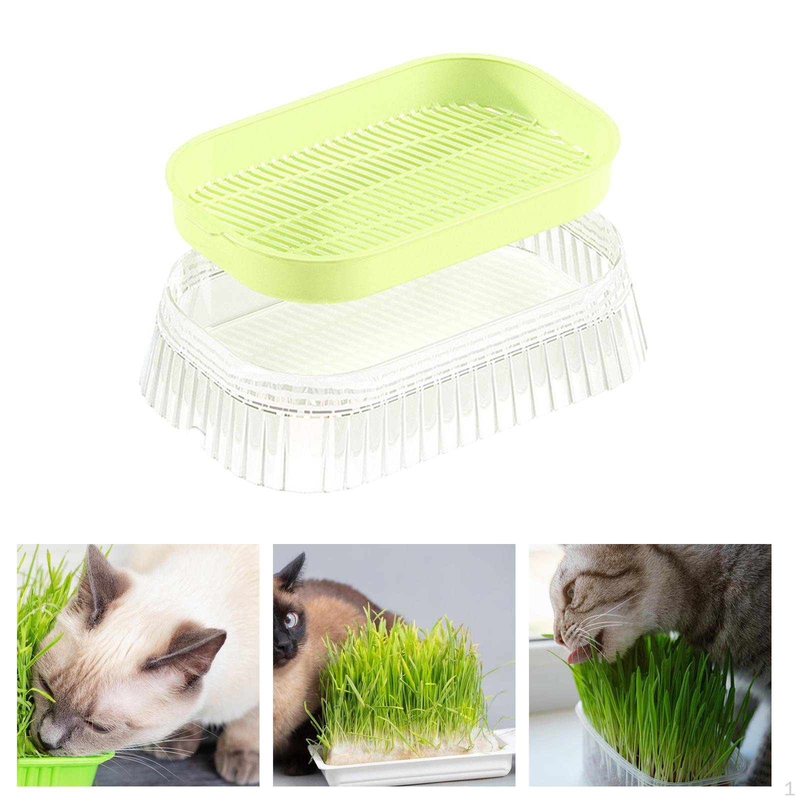 

Лоток для посадки травосборника (Нет необходимости в почве) Многоцелевые стартовые лотки для выращивания растений зелёный