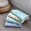 Thickened Winter Warm Pet Cushion: Flannel Cartoon Sleeping Mat for Cats and Dogs
