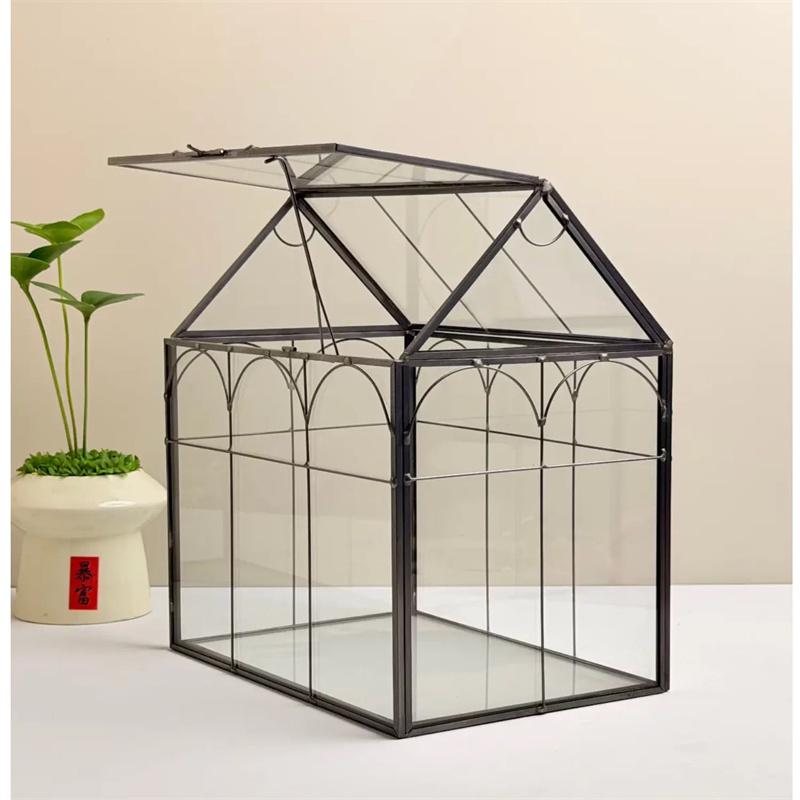 

Micro Moss Rainforest Landscape Glass Terrarium Miniature Garden Moss Ecosystem Desktop Greenhouse Indoor Home Table Vase