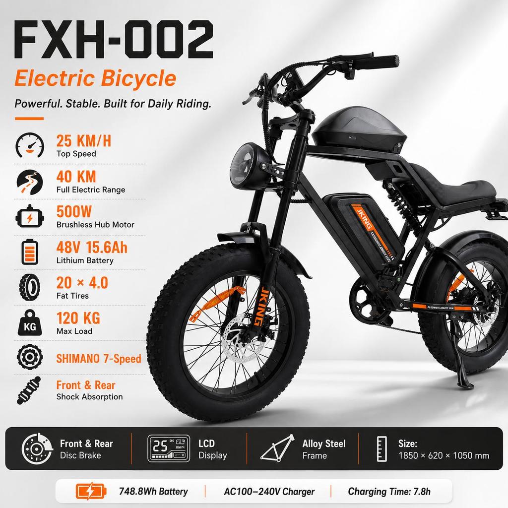 FXH-002 45KM/H Electric Bike 500W48V15.6Ah Fat Tire Adult Off-Road Mountain Electric Bicycle