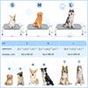 Elevated Cooling Dog Bed, Breathable Anti-slip Pet Cot for Medium Dogs