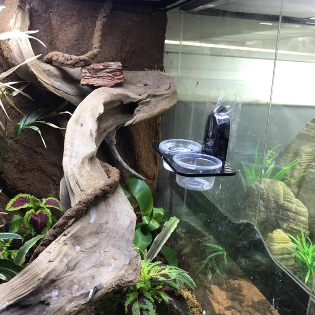 Reptile Food Bowl Insect Breeding Container Wall Hanging Water Dispenser for Spiders Lizards