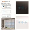 Graffiti WiFi Curtain Switch with Mobile Remote, Timer, Alexa & Google Voice Control