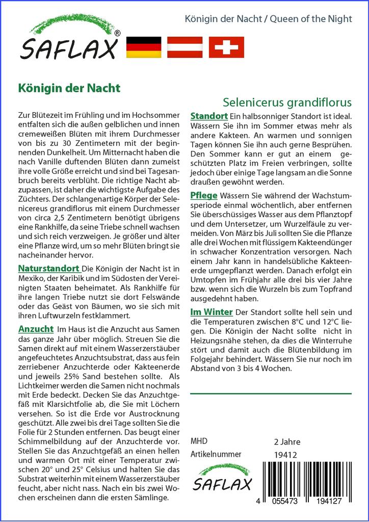 SAFLAX Queen of the Night - 40 Seeds - Selenicerus Grandiflorus