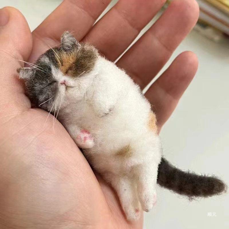 Schafwolle Filz Poke Katze Handgemachtes Materialpaket für Anfänger DIY Wolle Nadelfilzen Simulation Kreative Tiergeschenke