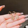 Fashion ins cold wind simple light luxury high-end ear buckle temperament geometric earrings women's small and versatile tide earrings