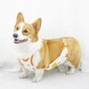 Anti-cold Corgi Belly Pocket Dog Belly Guard Breathable Home Pet Clothes Cat Belly Guard Anti-licking