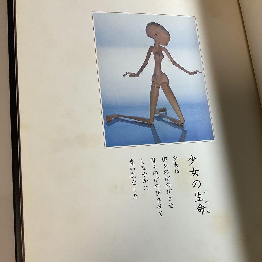 [USED] Signed book, first edition, Tomonaga Shozo doll collection, Prin Prin Story doll designer