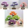 Plastic Bonsai Decorative Plant For Indoor Space With Lifelike Design