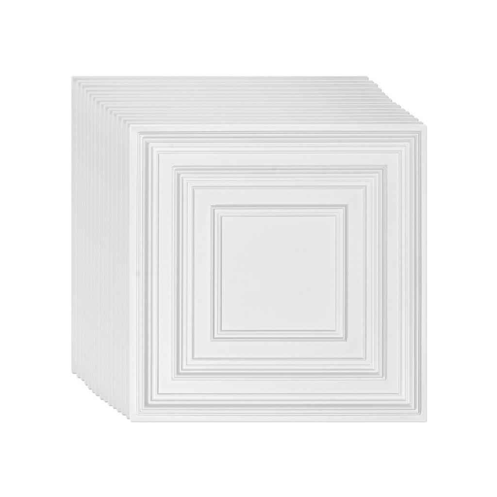 Ceiling Tiles 12-Pack 24 X 24 In PVC Easy Installation White Peg Pattern