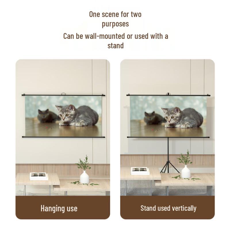 Deli MS300 60-inch Portable Projector Screen