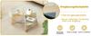 Modern Round Glass Coffee Table – diameter 80 cm with Transparent Top. Fan-shaped Frame, Table Legs MDF Natural Wood Tone. Ideal for Living Room.