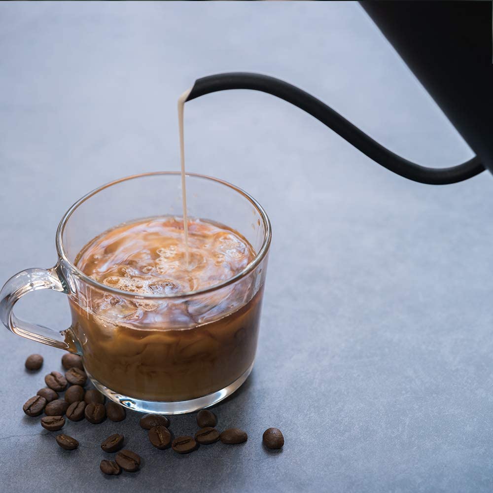 Easyworkz Gooseneck Kettle, 600ml, Stainless Steel Coffee Pot, Hand Drip Tea Pot [Black]