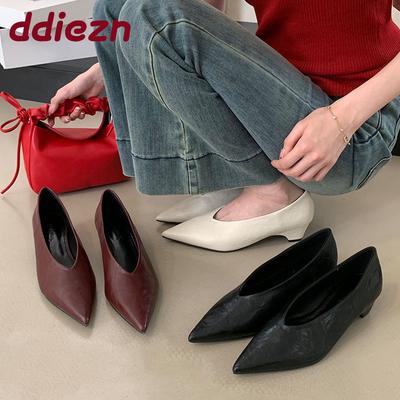 Fashion Pointed Toe Footwear Slip On Pumps Women Heeled Shoes Casual Female Fashion Shallow Ladies Low Heel Shoes 2025 New