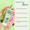 Green Tea & Tea Tree Radiance Face Wash, Enriched with Himalayan Rose, Ayurvedic Preparation, Paraben Free, Gentle & Mild, Suitable for Norm