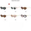 Women's Sunglasses - Unisex Retro Oval Cat-eye Sunglasses